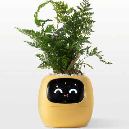 Ivy Smart Plant Pot – Self-Watering, App-Controlled Indoor Planter