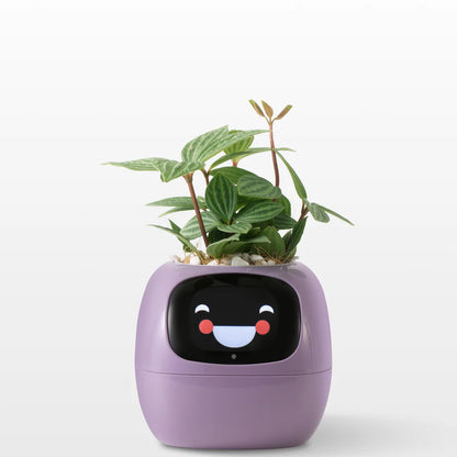 Ivy Smart Plant Pot – Self-Watering, App-Controlled Indoor Planter
