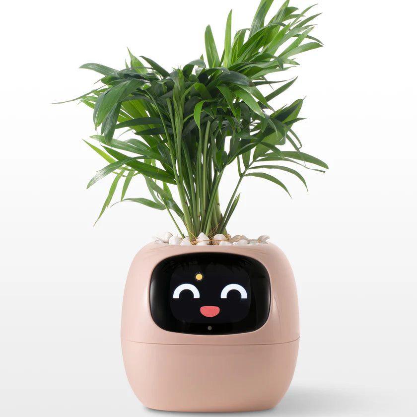 Ivy Smart Plant Pot – Self-Watering, App-Controlled Indoor Planter