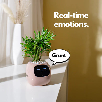 Ivy Smart Plant Pot – Self-Watering, App-Controlled Indoor Planter