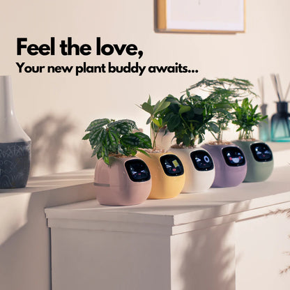 Ivy Smart Plant Pot – Self-Watering, App-Controlled Indoor Planter