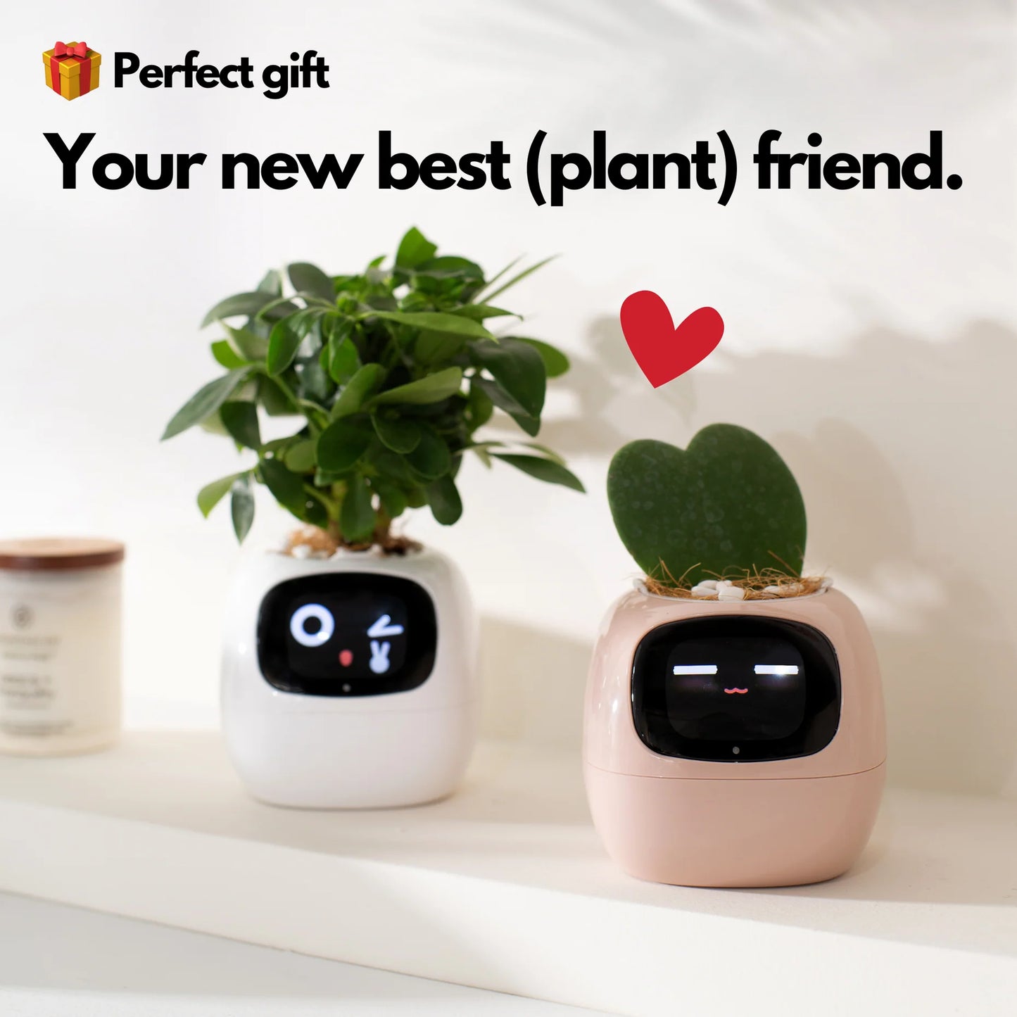 Ivy Smart Plant Pot – Self-Watering, App-Controlled Indoor Planter